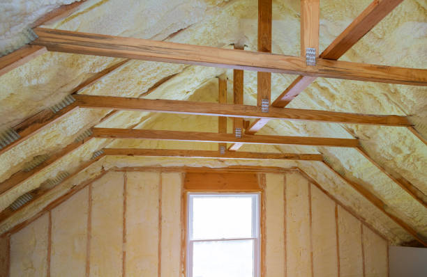 Best Professional Insulation Contractor  in Belvidere, NJ