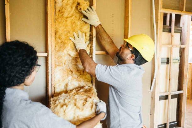 Insulation Replacement Services in Belvidere, NJ
