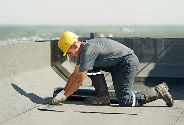 Best Wall Insulation Contractor  in Belvidere, NJ