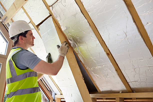 Best Insulation Contractor Near Me  in Belvidere, NJ