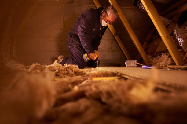 Best Garage Insulation Installation  in Belvidere, NJ